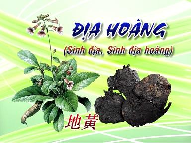 5, Thể tâm hỏa vượng 1