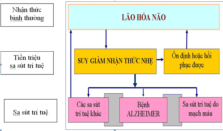 Các dạng bệnh sa sút trí tuệ hay gặp nhất