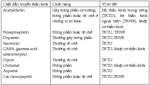 2, Phân loại các chất dẫn truyền thần kinh 1