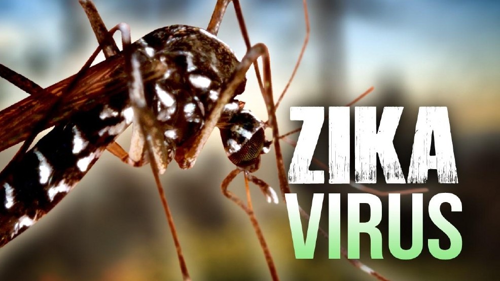 Virus Zika và bệnh teo não ở trẻ em có mối liên quan gì?