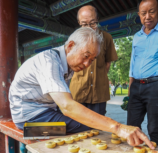 Cả đời khỏi lo TEO NÃO, LÚ LẪN nhờ 1 nắm lá cây này.... 1