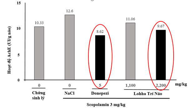 Ức chế men AchE (Cholinesterase) – Đích đến tiềm năng trong điều trị Alzheimer 1