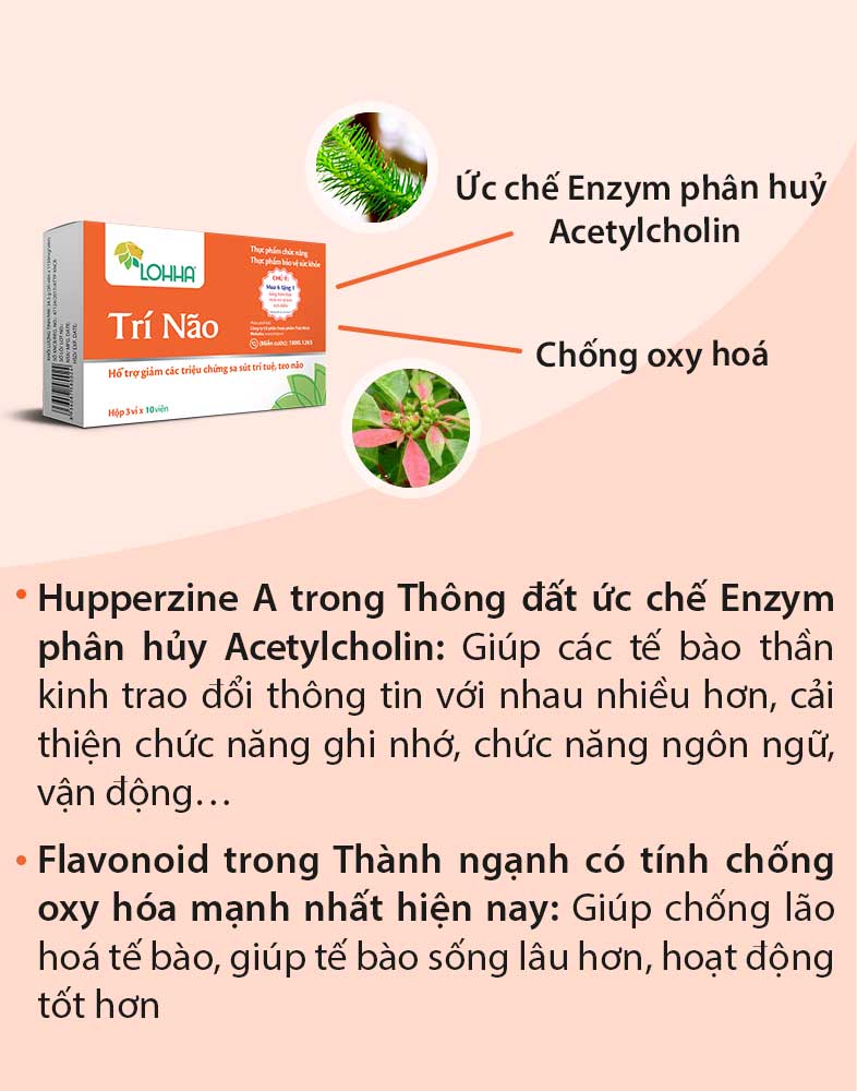 Lohha Trí Não tác động đến người suy giảm trí nhớ theo cơ chế nào? 1