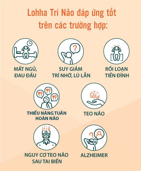 Tác dụng của Lohha Trí não cũng đã được các PGS.TS Đại học Dược Hà Nội kiểm chứng bằng cách thực hiện n 3