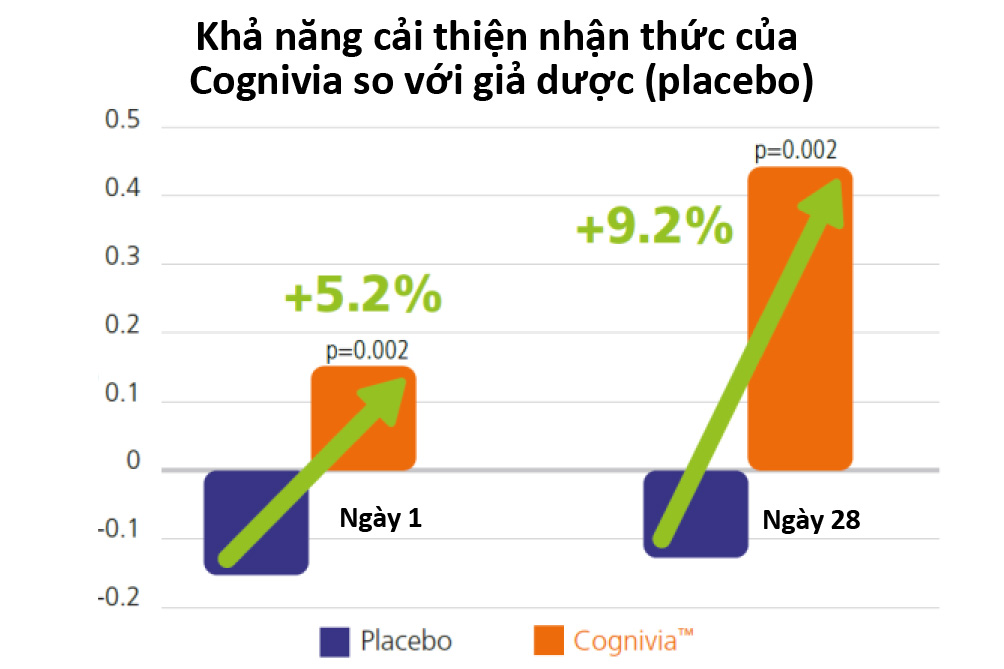 Khả năng nhận thức và chức năng não bộ của người dùng