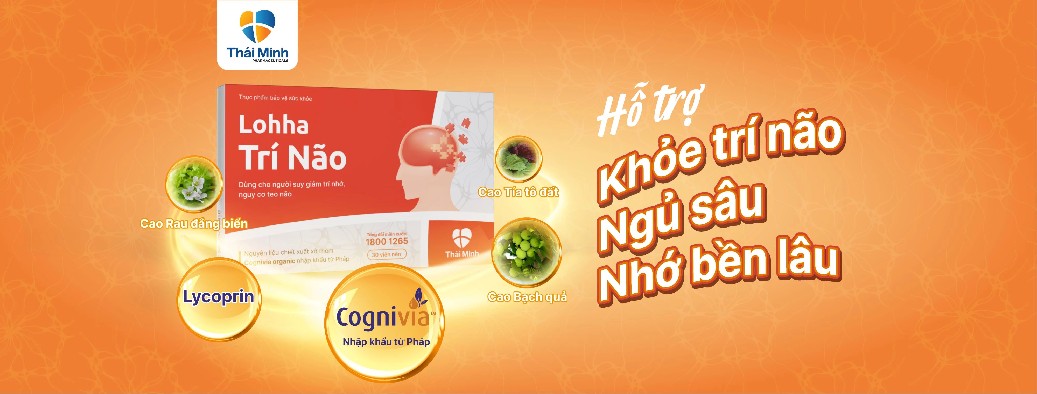 cover-lohha-tri-nao-moi.webp
